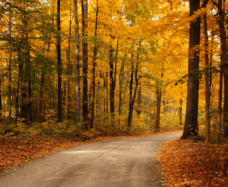 Fall Winter Maintenance